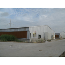 Layer Raising Equipments with Chicken House